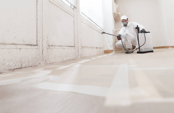 24/7 Emergency Mold Remediation experts in Loysville, PA